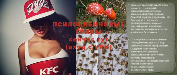кокс Баксан