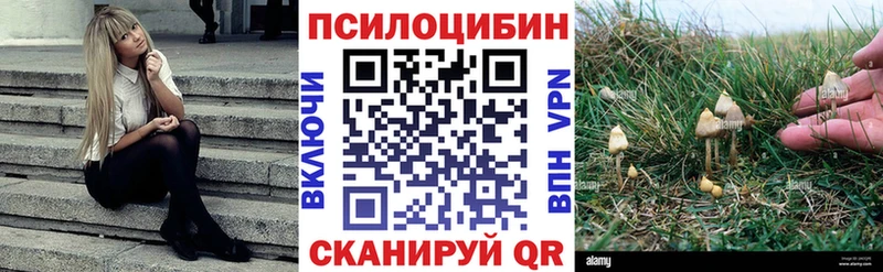 Галлюциногенные грибы GOLDEN TEACHER  Бор 